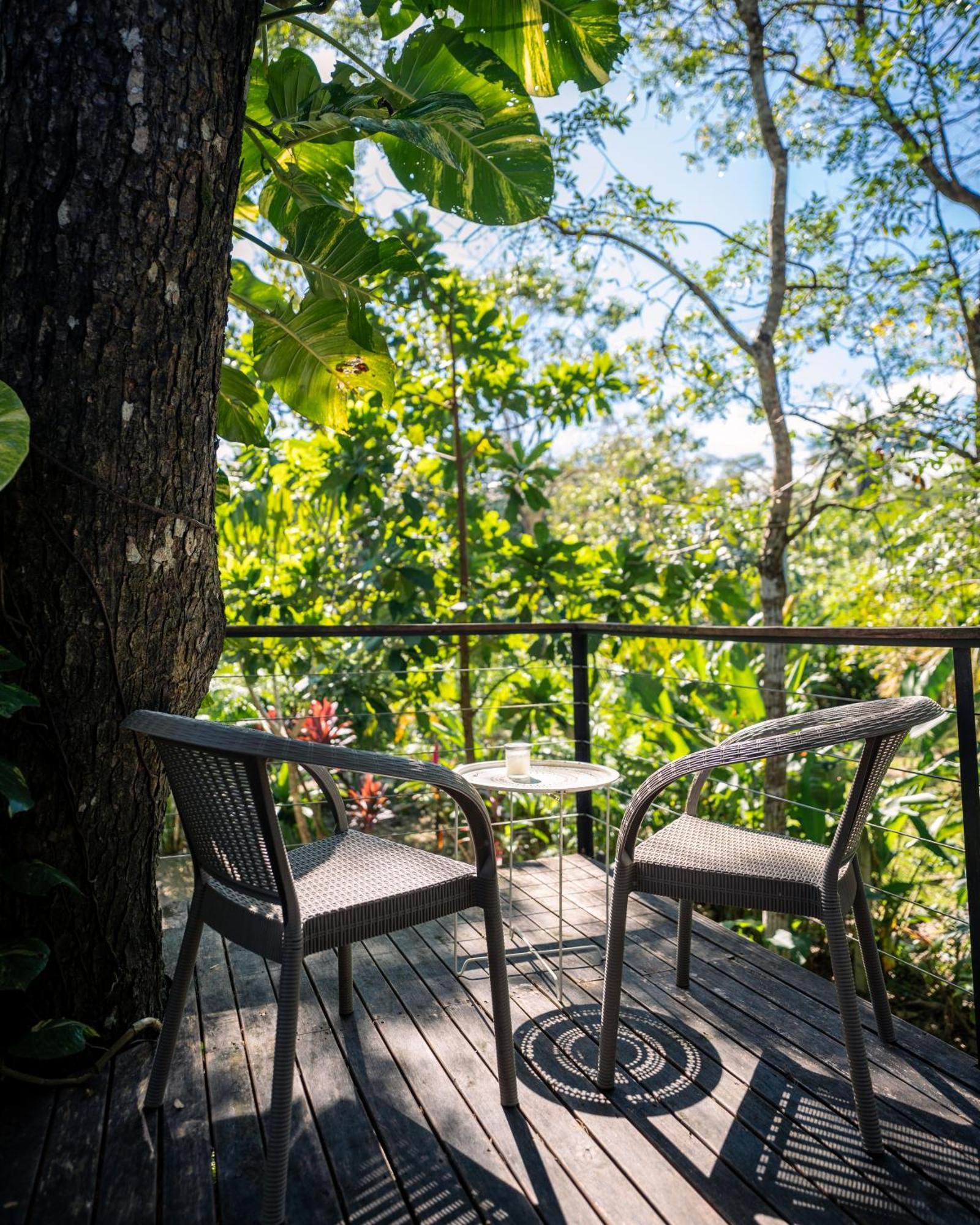 Feeling Trees Jungle Lodge Cabuya  Zewnętrze zdjęcie