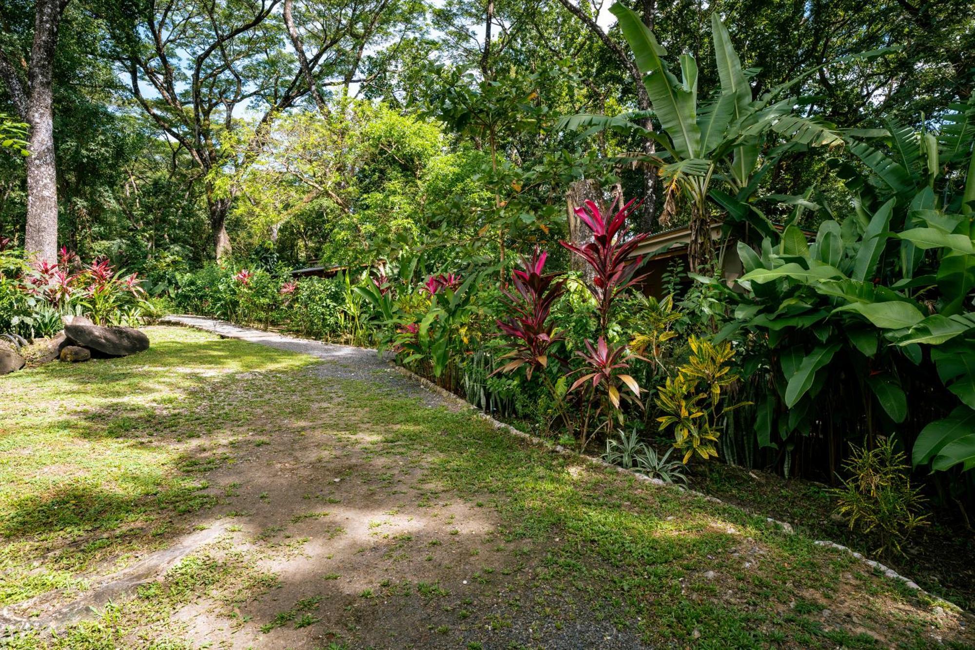 Feeling Trees Jungle Lodge Cabuya  Zewnętrze zdjęcie