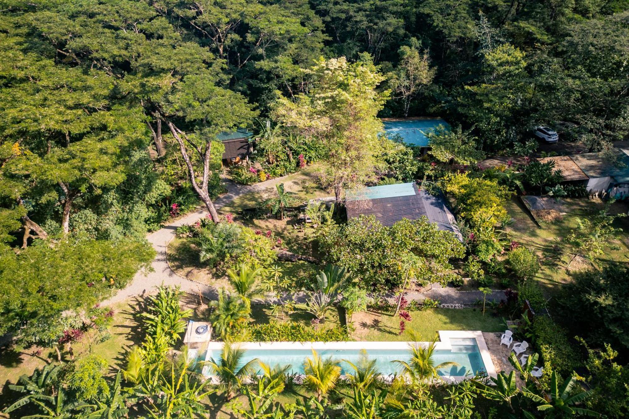 Feeling Trees Jungle Lodge Cabuya  Zewnętrze zdjęcie