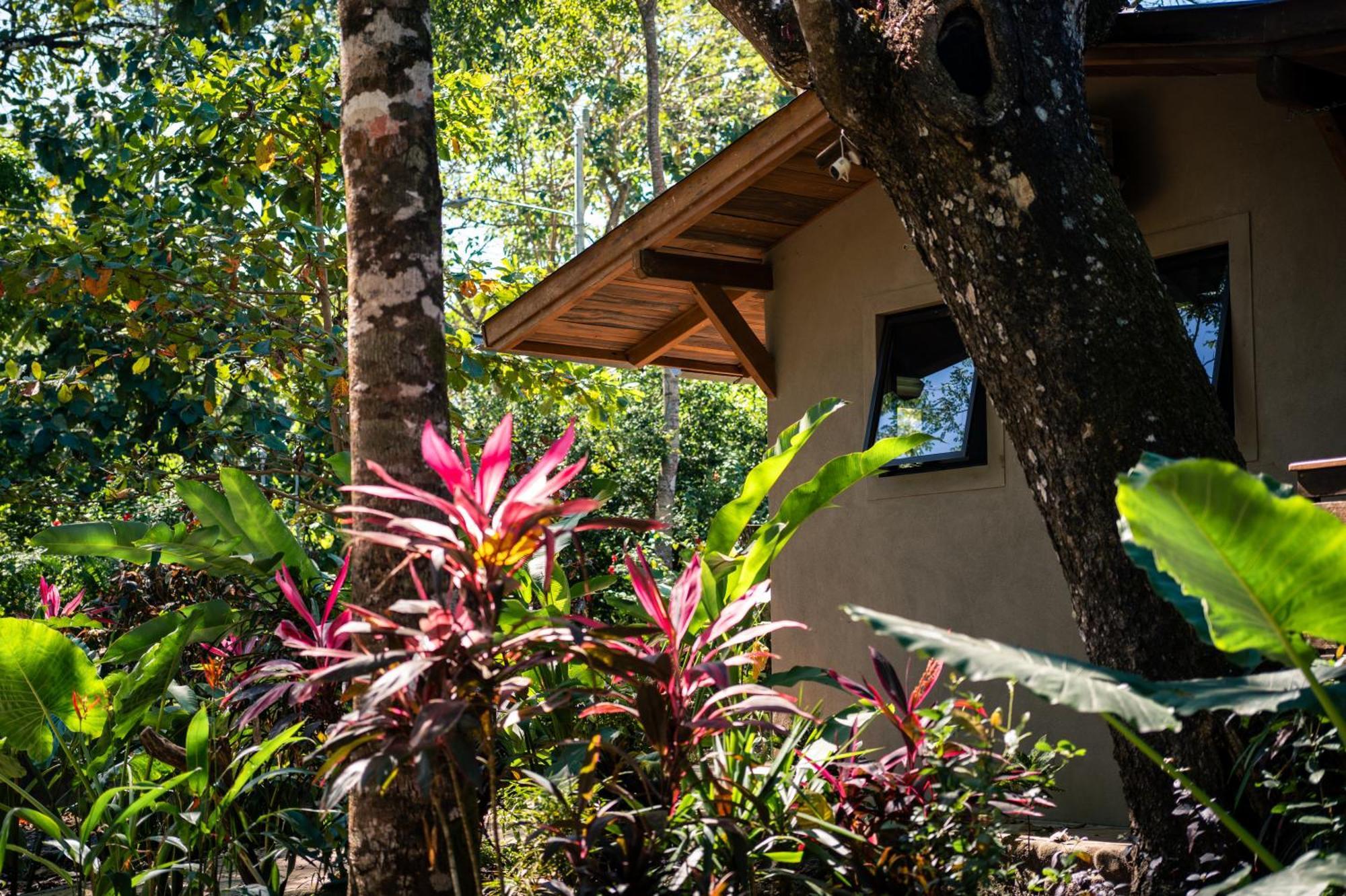 Feeling Trees Jungle Lodge Cabuya  Zewnętrze zdjęcie