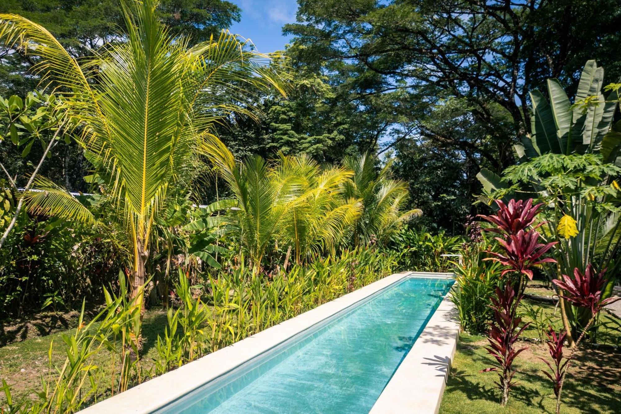 Feeling Trees Jungle Lodge Cabuya  Zewnętrze zdjęcie